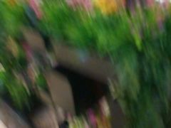 -蛙蛙叫干锅年代(簋街总店)