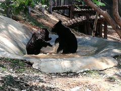 -泉州海丝野生动物世界