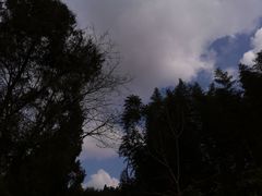 -西南政法大学(沙坪坝校区)