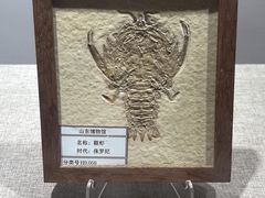 -烟台市博物馆