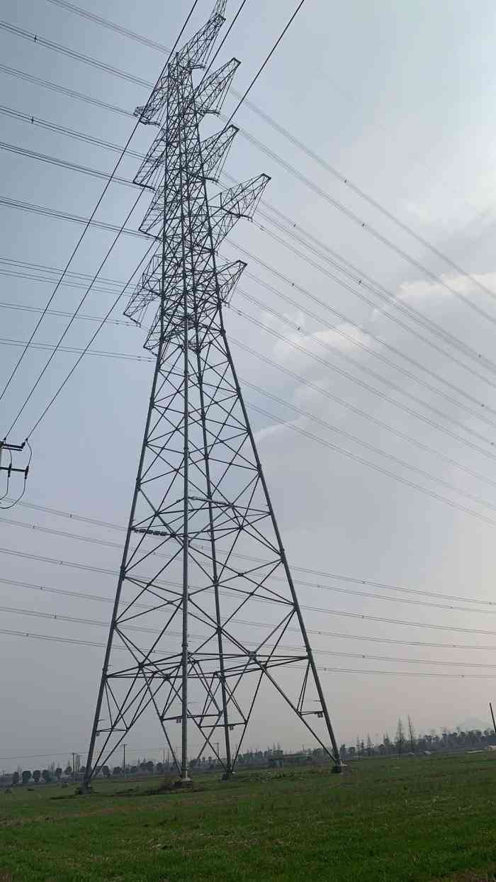 首选皋埠菜市场,开车."-大众点评移动版