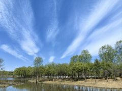 -东郊湿地公园