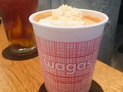 椰椰夏洛特-Wagas沃歌斯(太古汇店)