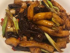 -食家鸽园