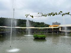 -小洲村