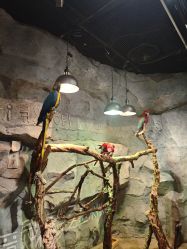 -Zoolung Zoolung动物主题公园(海信广场店)