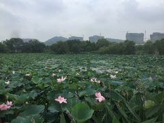 -长兴太湖图影湿地文化园