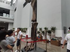 -自贡恐龙博物馆