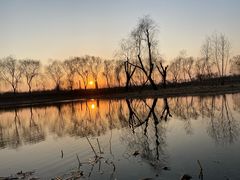 -大兴滨河森林公园