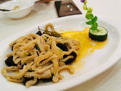 云耳拌野山椒羊肚-龙悦湾酒家·八阵鱼生·渔人码头店