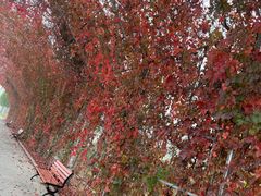 -兴芮温泉度假区