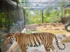 -海南热带野生动植物园
