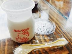 鲜奶椰冻-崖口煲仔饭