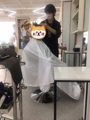 -蚂蚁造型沙龙