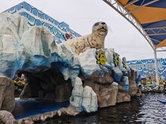 -华夏文旅海洋公园