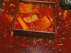 -红鼎坊·老成都火锅(新南门店)