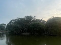 -长洲岛