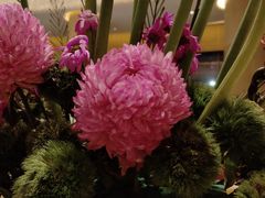 -宁波香格里拉大酒店