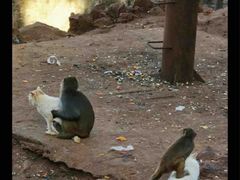 -昆明动物园