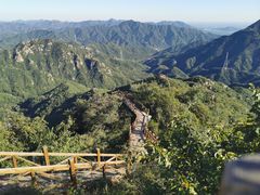 -大岭沟猕猴桃谷风景区