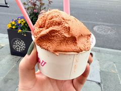 -红楼HONGLOU Gelato(淮海中路店)