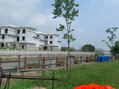 -鹅湖玫瑰文化园