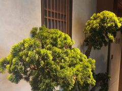 -百富源·海鲜辽菜(张士店)