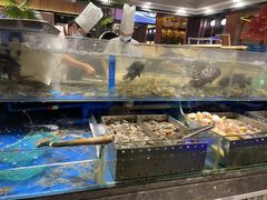 -喜庭海鲜自助(佛山王府井店)
