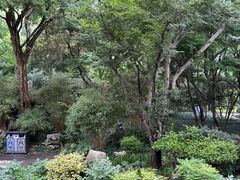 -上海醉白池公园