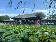 -济南大明湖景区