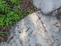 -湖洞水自然风景区