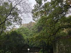 -灵谷景区