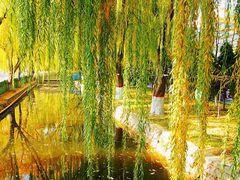 -高庙保安寺