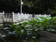 -晓港公园