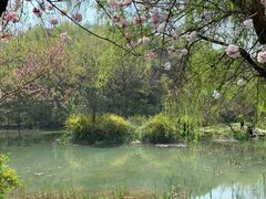 -南山风景名胜区
