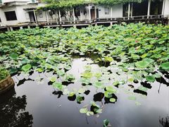 -雨湖公园