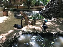 -卡塞拉自然公园