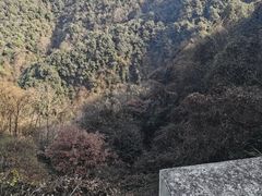 -午潮山国家森林公园