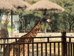 -北京野生动物园