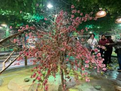 -酷嗒动物文化乐园(cutezoo西溪乐天城店)