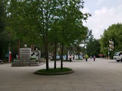 -黑龙江省森林植物园