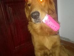 -蕴实地产(康营家园四社区店)