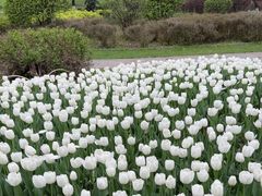 -玄武湖景区-情侣园游乐场