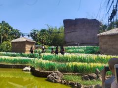 -云南民族村
