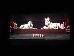 -万达影城(唐山爱琴海XLAND店)