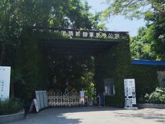 -华侨城湿地公园
