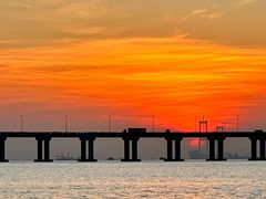 -宝安西湾红树林湿地公园