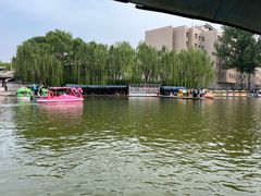 -团结湖公园