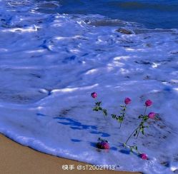 -HEYAN荷妍专业脱毛连锁机构
