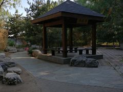 -大兴滨河森林公园